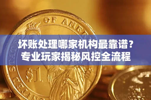 武汉坏账处理哪家机构最靠谱？专业玩家揭秘风控全流程