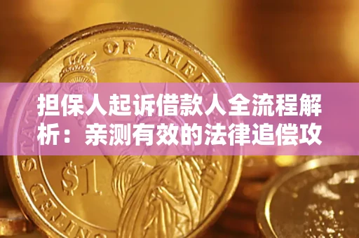 武汉担保人起诉借款人全流程解析：亲测有效的法律追偿攻略