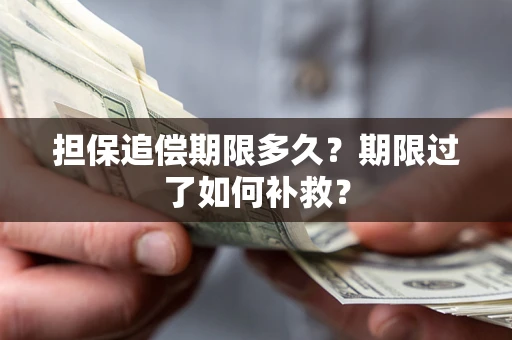 武汉担保追偿期限多久？期限过了如何补救？
