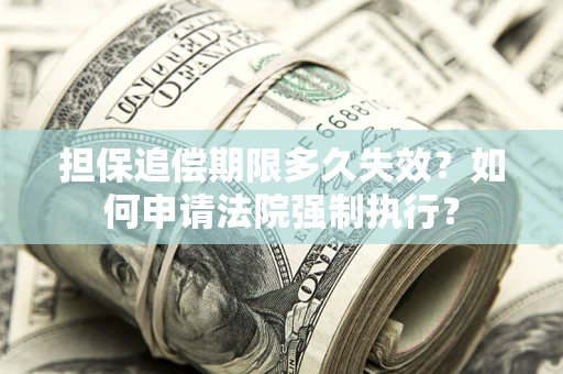 武汉担保追偿期限多久失效？如何申请法院强制执行？