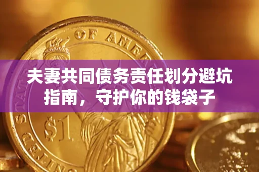 武汉夫妻共同债务责任划分避坑指南，守护你的钱袋子