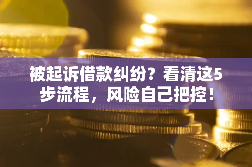 武汉被起诉借款纠纷？看清这5步流程，风险自己把控！