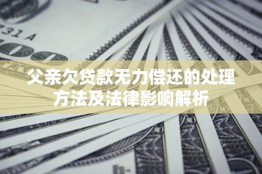 武汉父亲欠贷款无力偿还的处理方法及法律影响解析