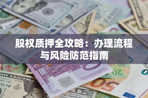 武汉股权质押全攻略：办理流程与风险防范指南